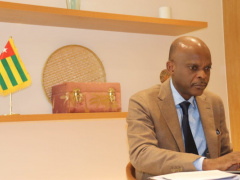 The Decade of African Roots and Diasporas: Dussey Urges Rapid Action-Taking