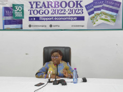 Togo: Ministry of investment promotion launches strategic report to attract investors