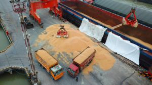 Vers la mise en place d&rsquo;un Guichet unique au Port autonome de Lom&eacute; pour l&rsquo;exportation du soja