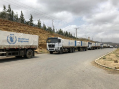 Togo to Facilitate Access to Humanitarian Aid for the People of Niger