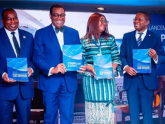 Togo among African countries to experience highest economic growth in 2024, AfDB forecasts