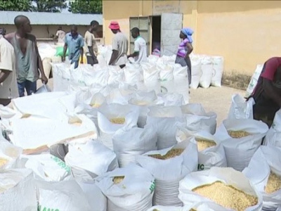 togo-food-security-agency-launches-cereal-sales-campaign