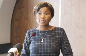 Les pays membres de la CIPRES prennent quartier &agrave; Lom&eacute; pour un atelier sur la gestion des comptes cotisants et individuels