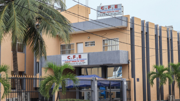 Togo: New Business Registrations Dip 5% in Q1 2025, YoY