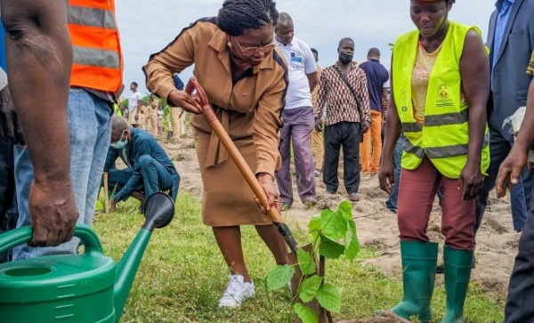 Campagne de reboisement 2022 : les Togolais ont planté plus d’1,4 million de plants le 1er juin 2022