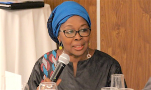 Le PNUD veut renforcer sa collaboration avec le Togo sur les cinq prochaines ann&eacute;es