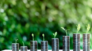 Lutte contre le changement climatique&nbsp;: Bas-Mono 1 devra mobiliser environ 400 millions FCFA