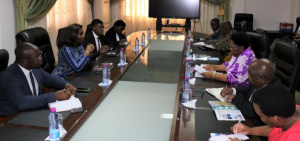 Investissements : des op&eacute;rateurs &eacute;conomiques  sud-africains en exploration au Togo