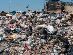 Togo’s DAGL to finance innovative projects aimed at protecting the environment