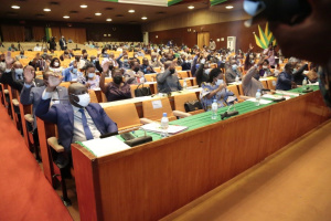 Togo : Les parlementaires adoptent la loi sur la cr&eacute;ation des r&eacute;gions