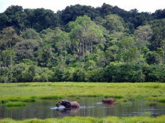Togo Holds First National Week of Protected Areas