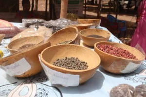 Togo : Niamtougou accueille la Foire ouest africaine des semences paysannes
