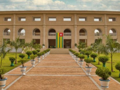 Togo adopts law implementing WAEMU anti-counterfeiting rules