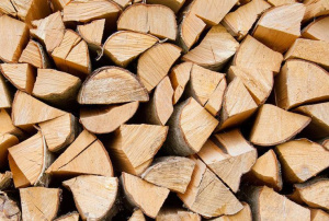 Togo : vente aux ench&egrave;res de produits forestiers &agrave; partir du 17 mai