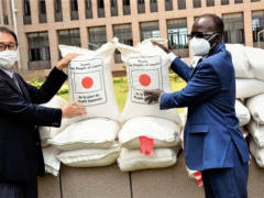 Kennedy Round: Japan makes second rice donation to Togo this year, worth CFA1.5 billion