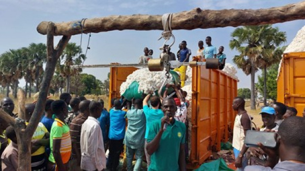 Togo Sets Dec. 15 Start for 2025-2026 Cotton Marketing Season