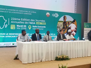 Fili&egrave;re coton : &agrave; Lom&eacute;, les acteurs africains misent sur la productivit&eacute; face aux d&eacute;fis
