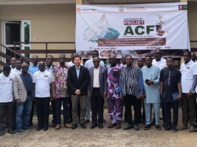 togo-taps-regenerative-farming-to-build-a-more-resilient-cotton-sector
