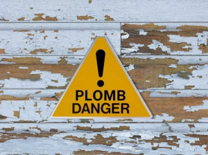 Togo steps up fight against lead in consumer products