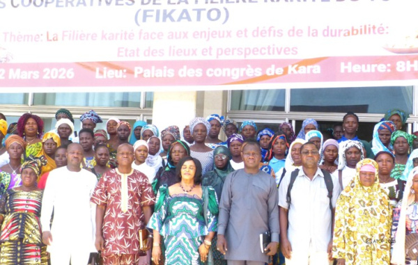 Fili&egrave;re karit&eacute; : les acteurs togolais r&eacute;fl&eacute;chissent &agrave; la durabilit&eacute; du secteur