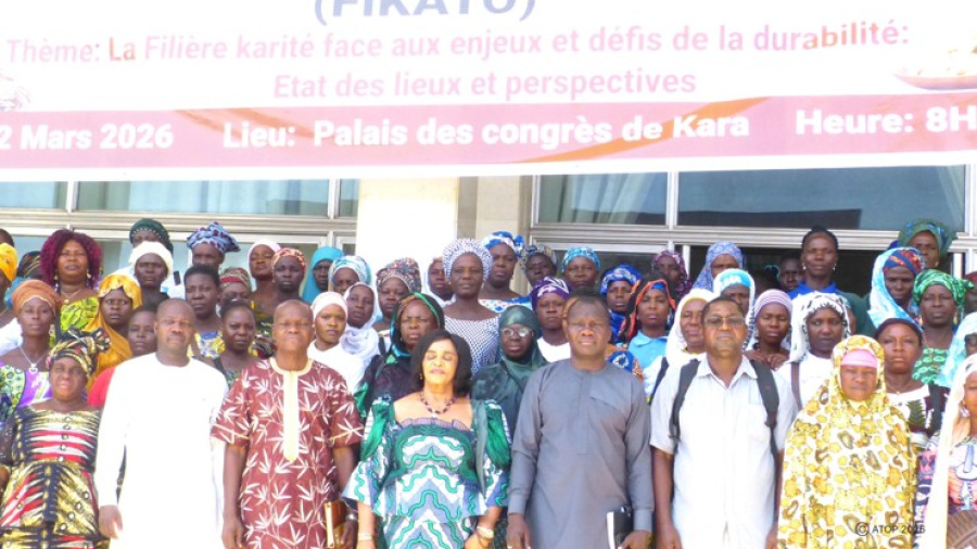 Fili&egrave;re karit&eacute; : les acteurs togolais r&eacute;fl&eacute;chissent &agrave; la durabilit&eacute; du secteur