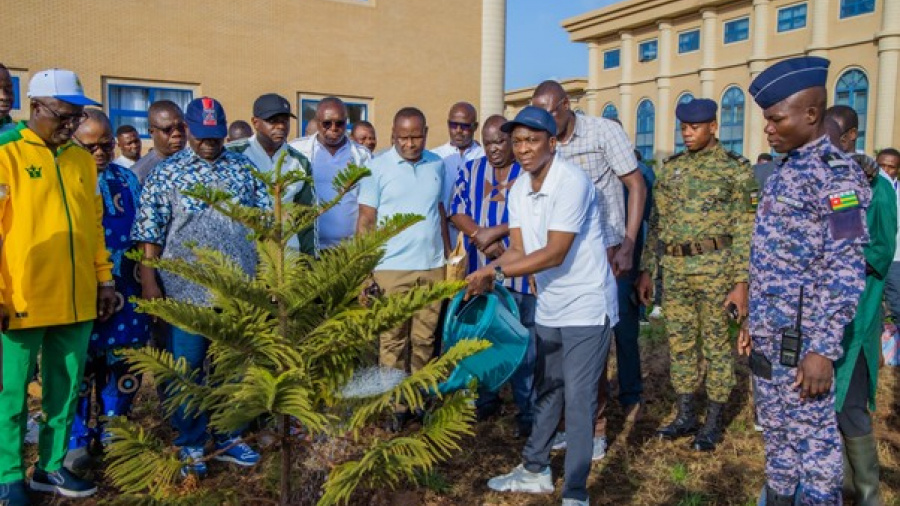 Campagne de reboisement 2025 : le Togo mobilise plus de 11 milliards FCFA