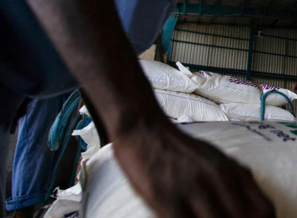 Togo : distribution d’intrants à plus de 7000 petits producteurs de la Kara et des Savanes