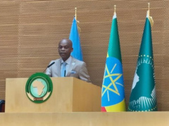 Togo Joins Africa-Caribbean Push for Reparations at Addis Ababa Summit
