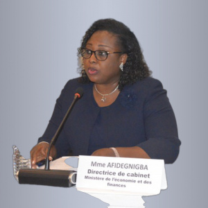 Suivi et Evaluation des r&eacute;formes : renforcement des capacit&eacute;s des points focaux &agrave; Lom&eacute;