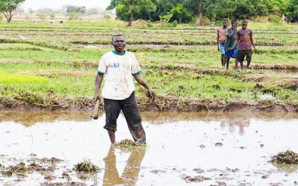 Agropole de Kara : bientôt des études techniques pour la construction de deux barrages