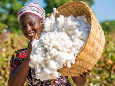 coton-la-maritime-vise-10-000-tonnes-pour-relancer-sa-contribution-a-la-filiere-nationale