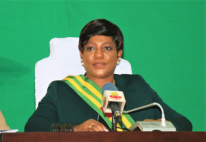 L'Assembl&eacute;e nationale, en rentr&eacute;e parlementaire cette semaine