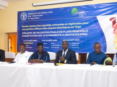 togo-devolves-climate-planning-giving-each-region-its-own-adaptation-strategy