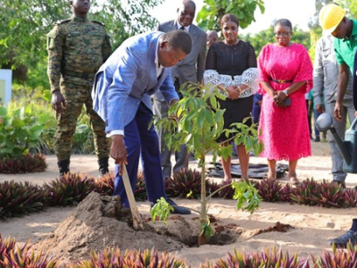 reboisement-le-togo-se-mobilise-a-nouveau-pour-sa-cible-d-un-milliard-d-arbres