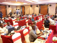 AfDB urges Togo and other countries to use its clean power financing tools