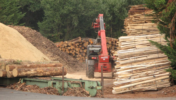 Togo: Lomé just hosted a national dialogue on the preservation of forest resources, amid rising use of firewood