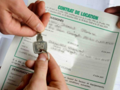 Land reform: Government introduces standard contract for leasing