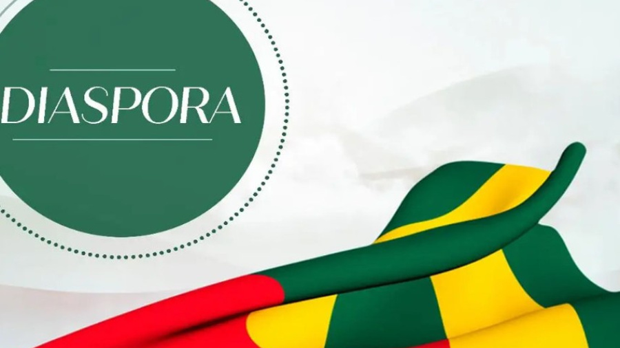 Le Togo valide sa nouvelle strat&eacute;gie pour mobiliser les investissements de la diaspora