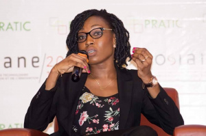 Bileyo Donko, &lsquo;Pdte Terreau Fertile&rsquo; : &laquo; Le Salon FERIN est vraiment une occasion en or &agrave; saisir &raquo;