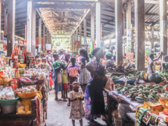 Togo: World Bank Forecasts 5.1% Economic Growth in 2024