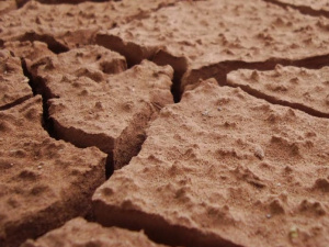 A Lom&eacute;, la Cedeao planche sur la restauration des terres agricoles