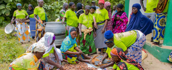 Togo : un projet de 2000 hectares pour structurer la fili&egrave;re karit&eacute; et renforcer la r&eacute;silience climatique