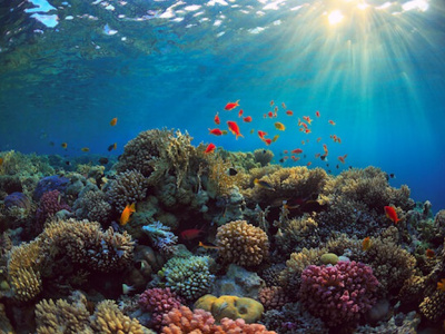 togo-hausse-des-temperatures-marines-pluies-inhabituelles-et-chaleur-persistante-jusqu-a-fin-fevrier