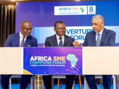 Togo: BADEA to support local smes with CFA10 billion