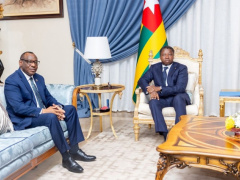Economic Commission for Africa to Boost Cooperation with Togo, with Focus on Four Areas
