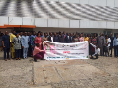 togo-opens-2026-cashew-season-cuts-farm-gate-price-to-350-cfa-francs-per-kg