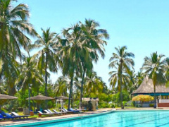 Public policies keep up with the program to revive the tourism industry in Togo