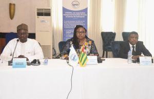OHADA member states reopen talks on sustainable funding in Lom&eacute;