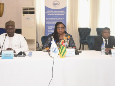 ohada-member-states-reopen-talks-on-sustainable-funding-in-lome