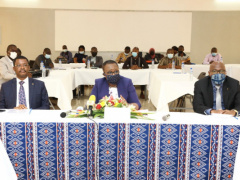 Togo: More than 11,000 micro-enterprises were started by the youth in 2021